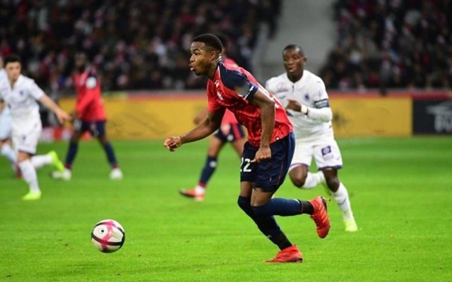 质和抗压能 质和抗压能