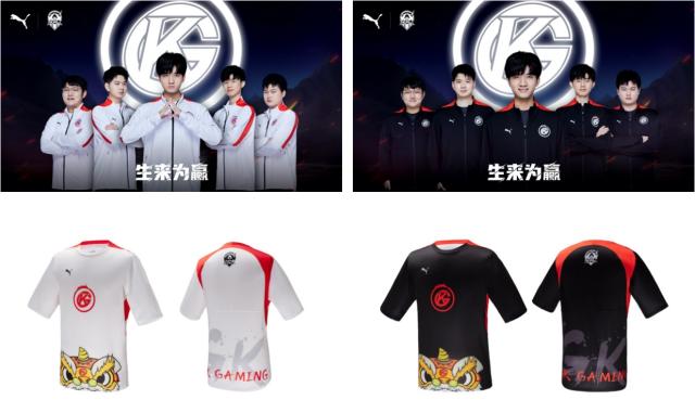 了可资借鉴 了可资借鉴