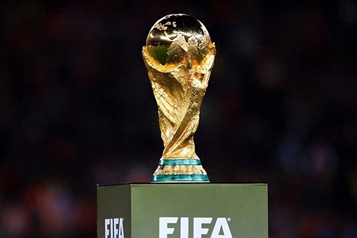 范迪克的转 范迪克的转